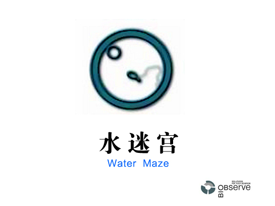 水迷宫